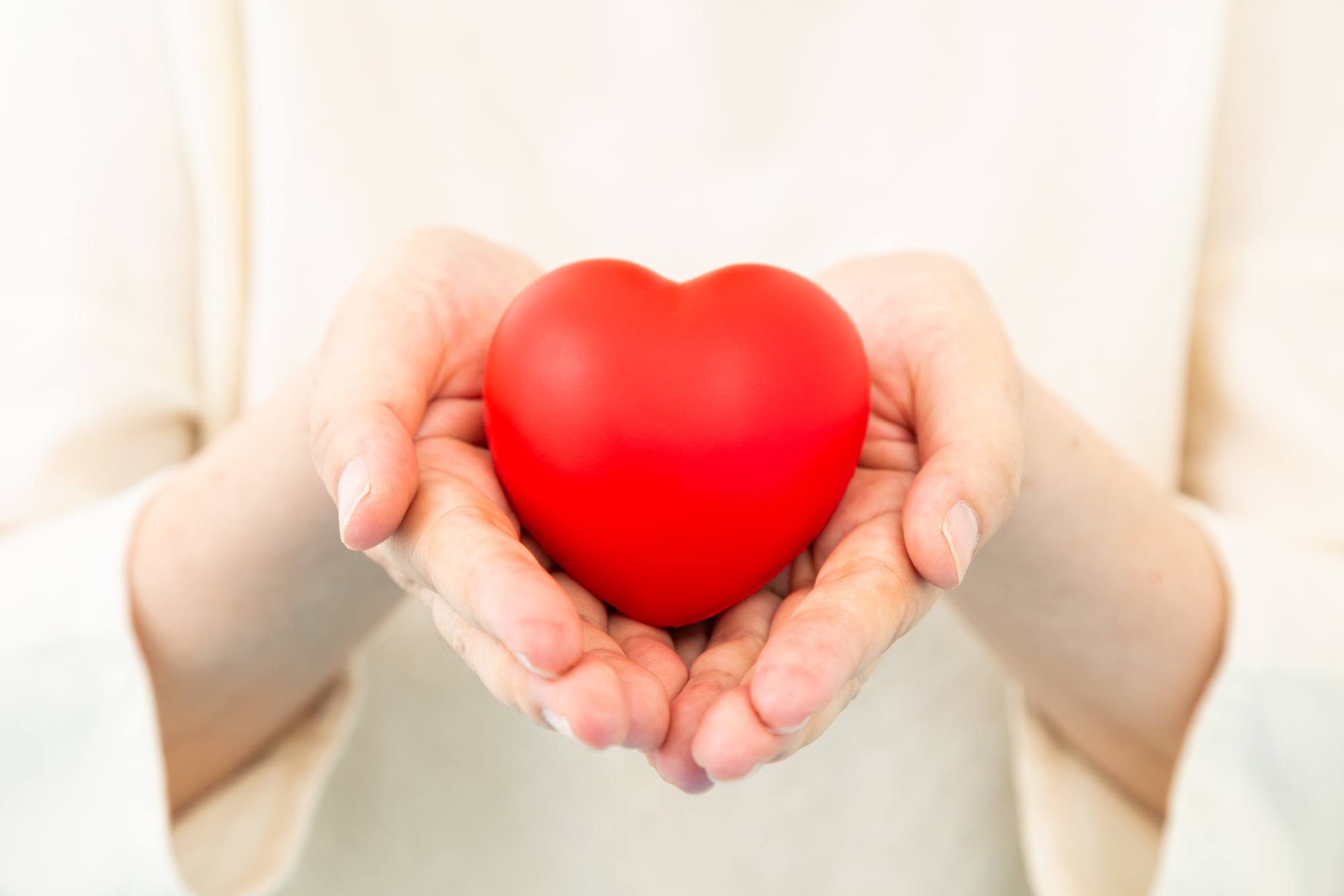 明るいリビングで遺品整理の相談を行うスタッフと家族